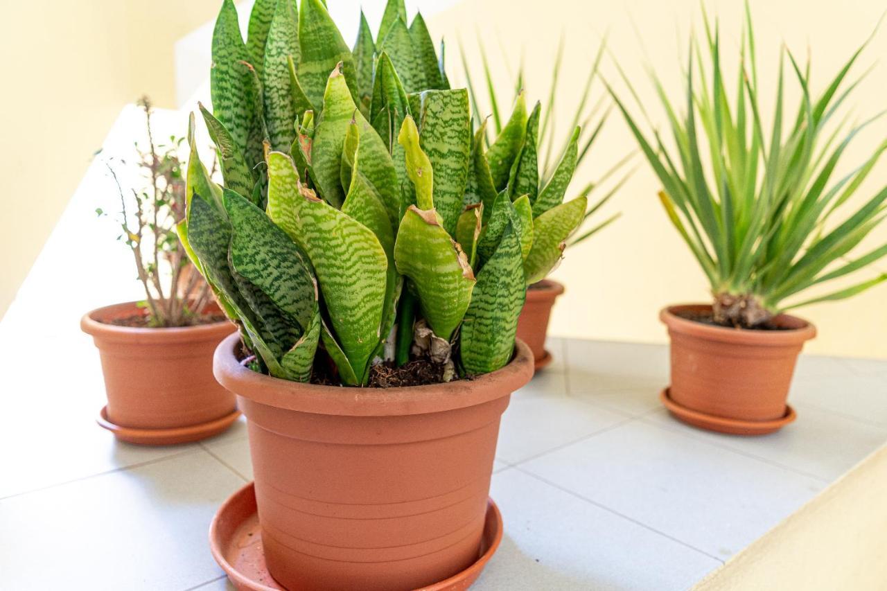 Apartament Yolo House - Corralejo Zewnętrze zdjęcie